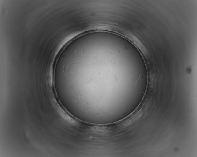 X0000101391036200807141128
