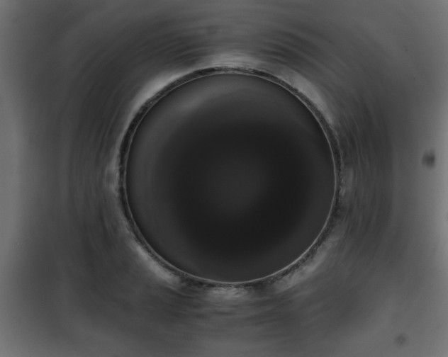 X0000101391037200807141128