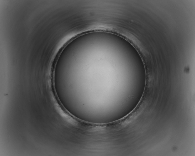 X0000101391038200807141128