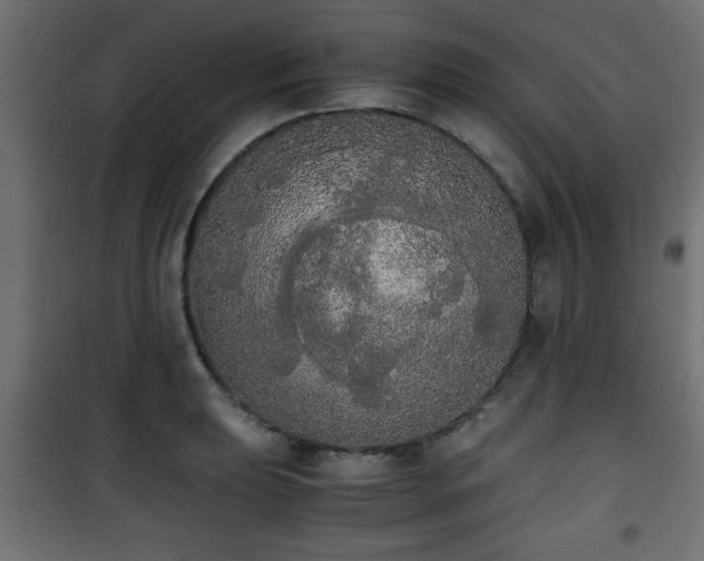 X0000101391039200807141128