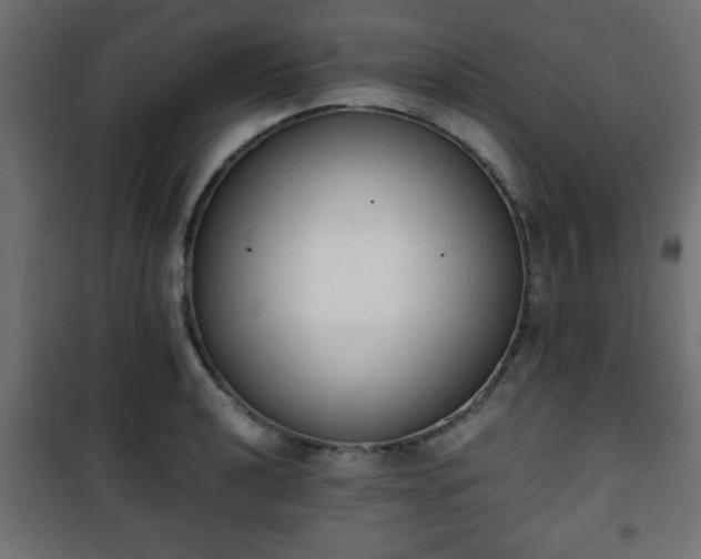 X0000101391040200807141128