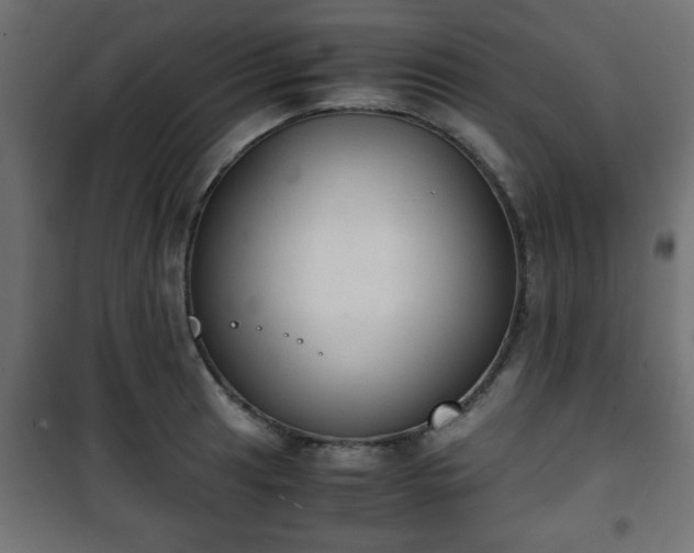 X0000101391041200807141128