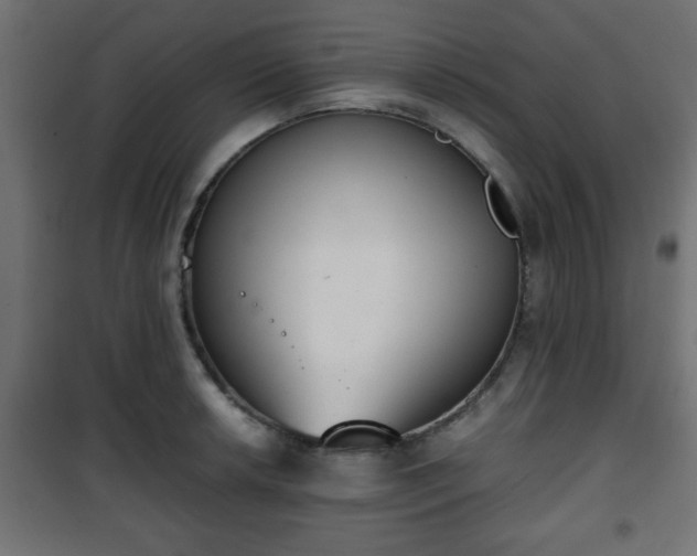 X0000101391042200807141128