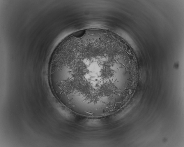 X0000101391043200807141128