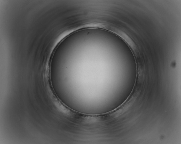 X0000101391044200807141128