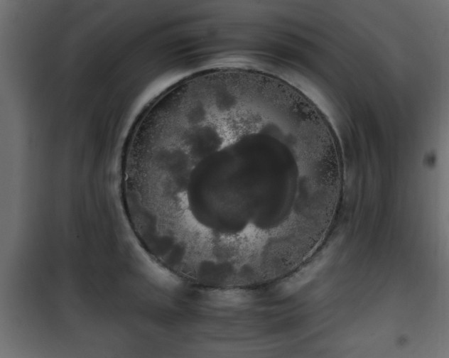 X0000101391045200807141128