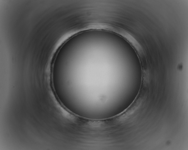 X0000101391046200807141128