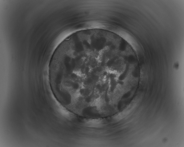 X0000101391047200807141128