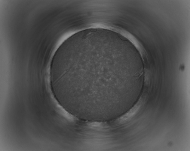 X0000101391048200807141128