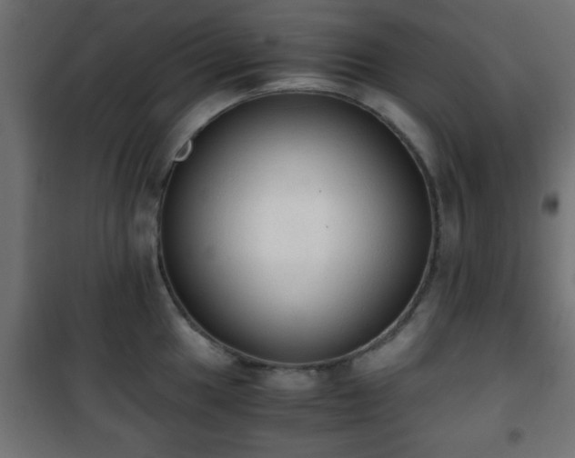 X0000101391049200807141128