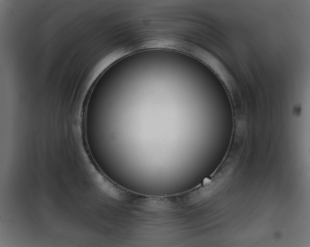 X0000101391050200807141128