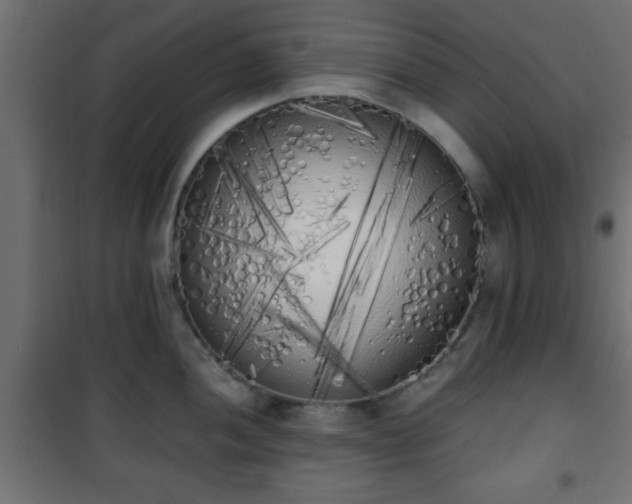 X0000101391052200807141128