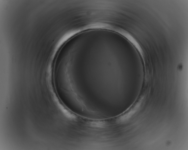 X0000101391053200807141128