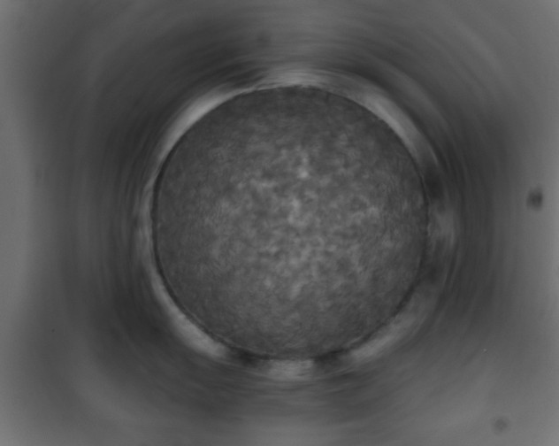 X0000101391055200807141128