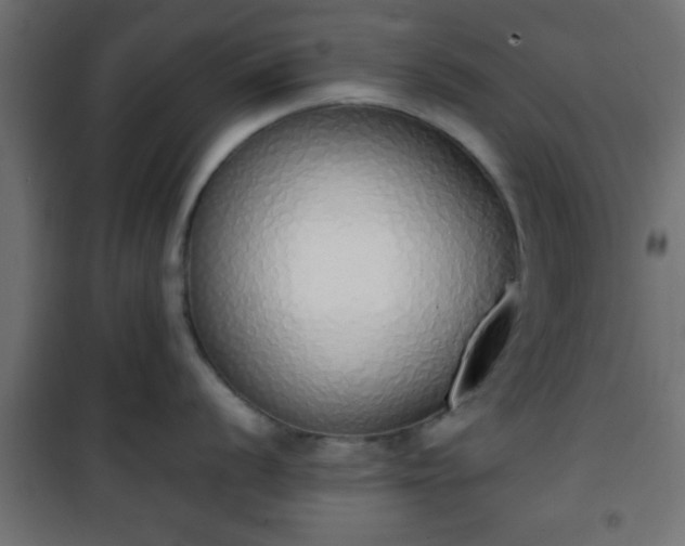 X0000101391056200807141128