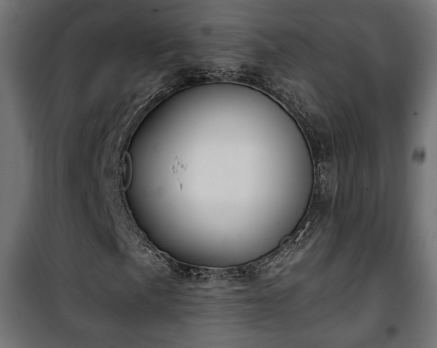 X0000101391057200807141127