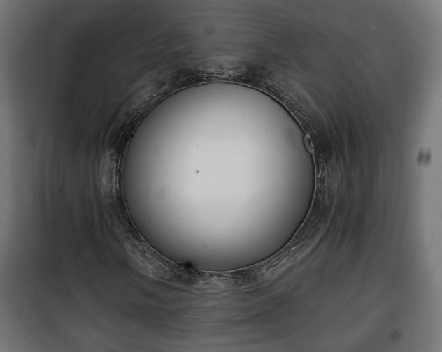 X0000101391058200807141127