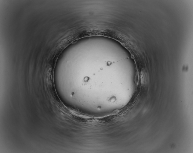 X0000101391059200807141127