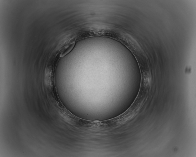 X0000101391060200807141127