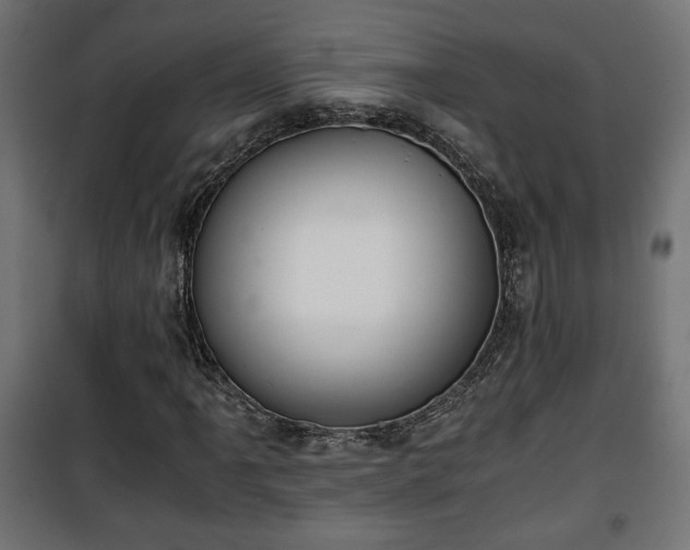 X0000101391061200807141127