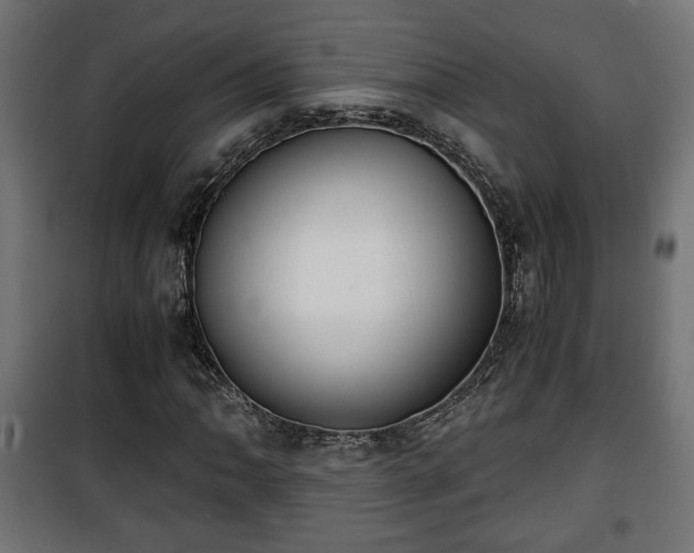 X0000101391062200807141127