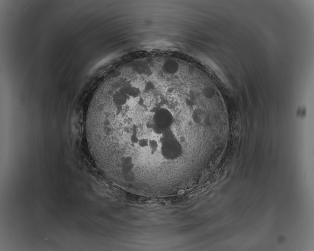 X0000101391063200807141127