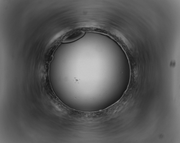 X0000101391064200807141127