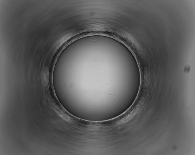 X0000101391065200807141127