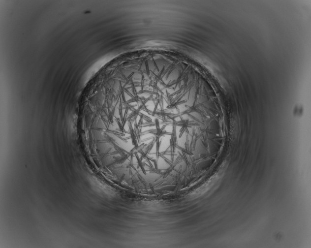 X0000101391066200807141127
