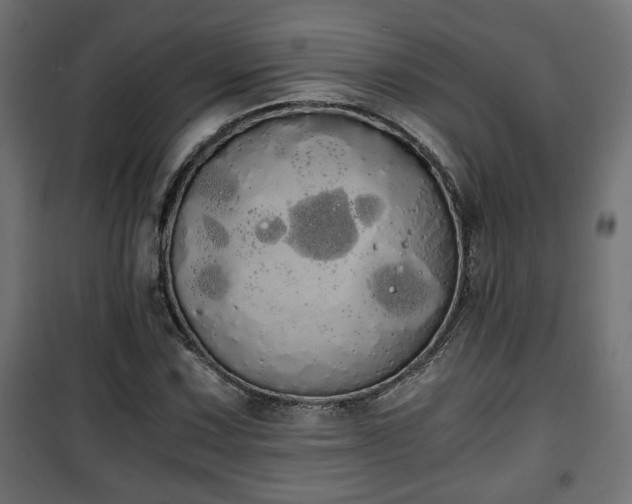 X0000101391067200807141127