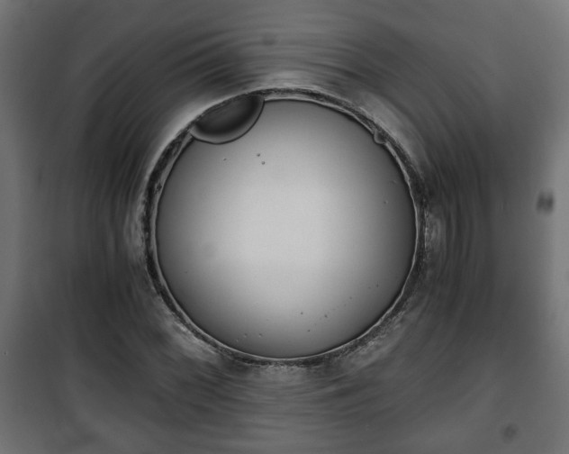 X0000101391068200807141127