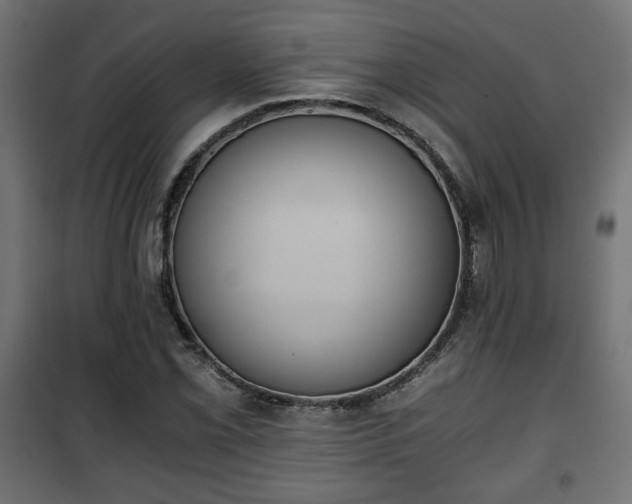 X0000101391069200807141127