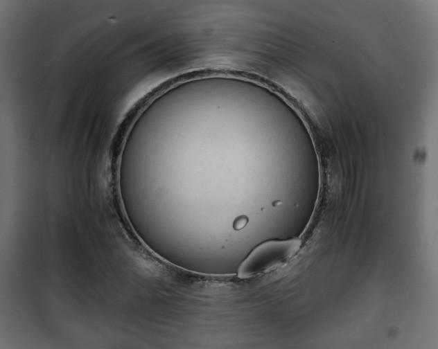 X0000101391070200807141127