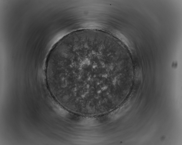 X0000101391071200807141127