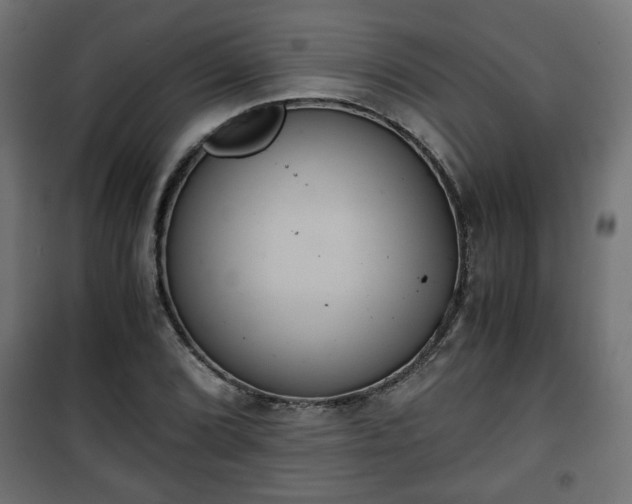 X0000101391072200807141127