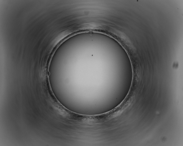 X0000101391073200807141127