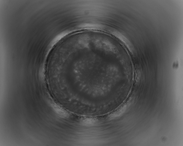 X0000101391074200807141127