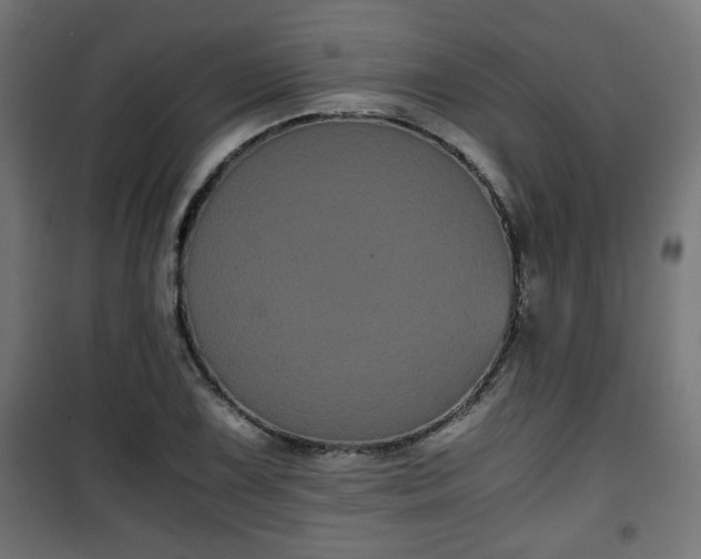 X0000101391075200807141127