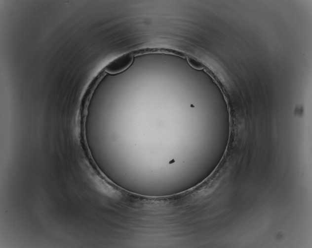 X0000101391076200807141127