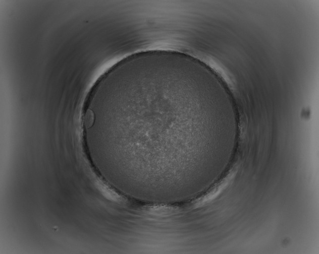 X0000101391077200807141127