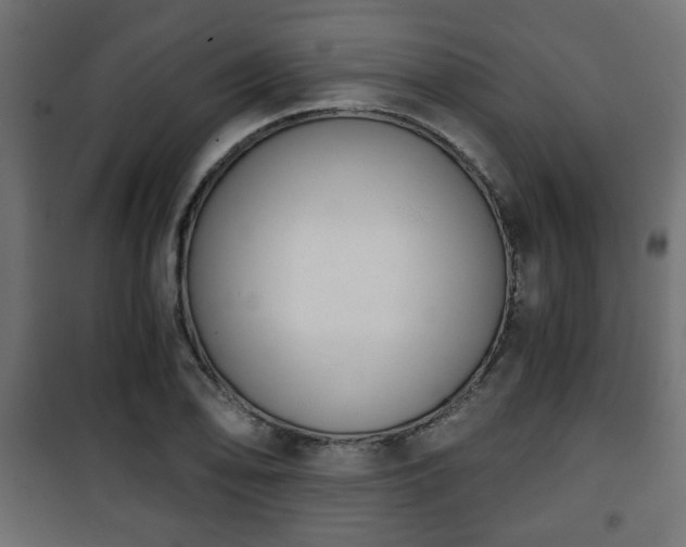 X0000101391078200807141127