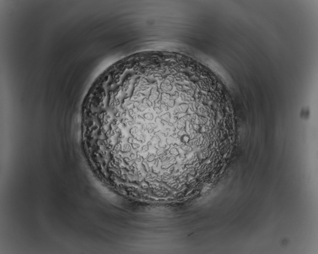 X0000101391079200807141127