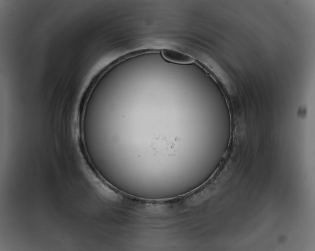 X0000101391080200807141127