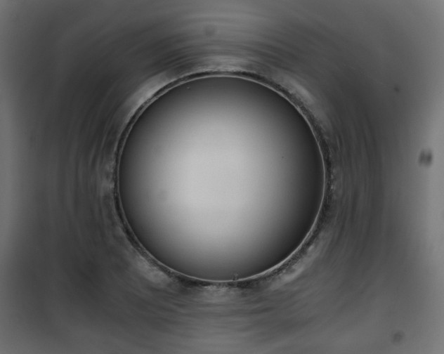 X0000101391081200807141127