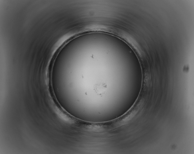 X0000101391082200807141127