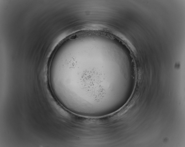 X0000101391083200807141127