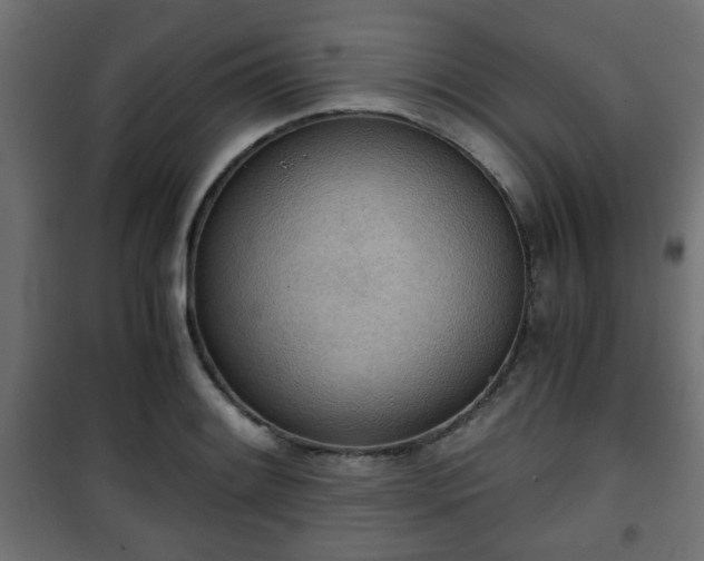 X0000101391084200807141127