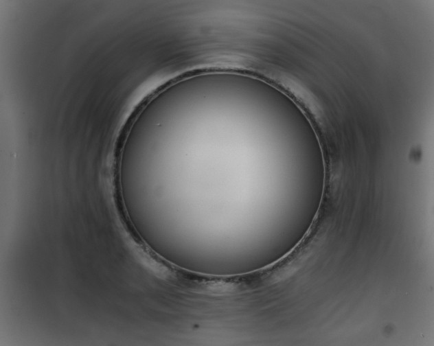 X0000101391085200807141127