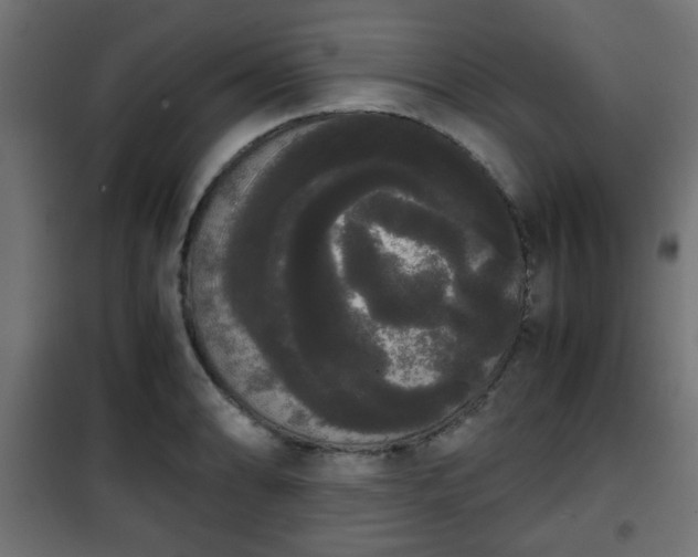 X0000101391086200807141127