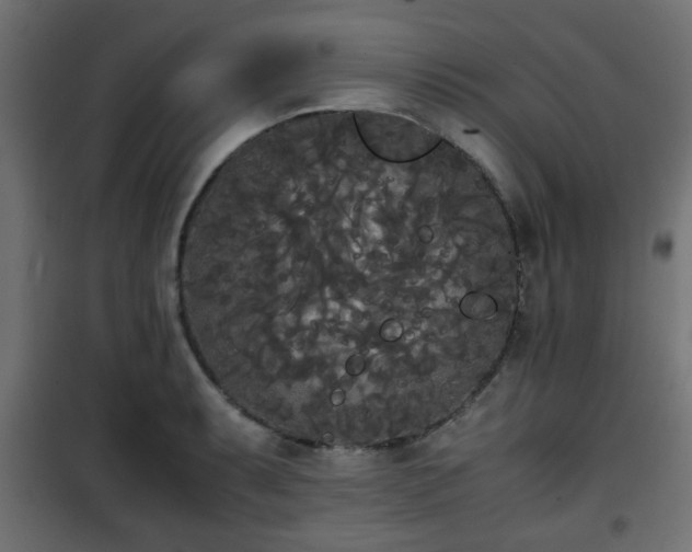 X0000101391087200807141127